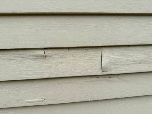 Trusted South Rosemary, NC Siding Experts